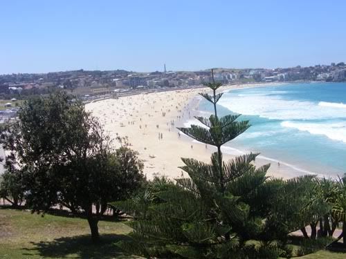 Bondi6.jpg