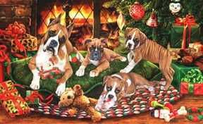 boxer christmas Pictures, Images and Photos