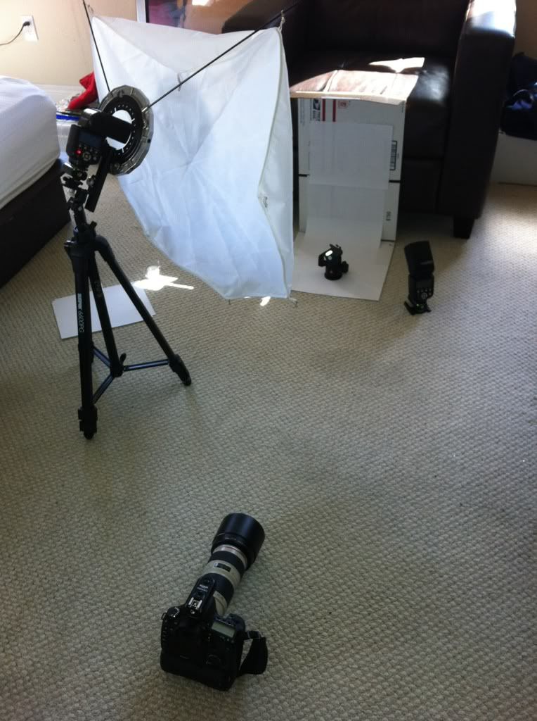 IMAGE: http://i112.photobucket.com/albums/n188/Chefhood81/62b78db4.jpg