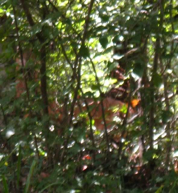 IMG_1856-1.jpg