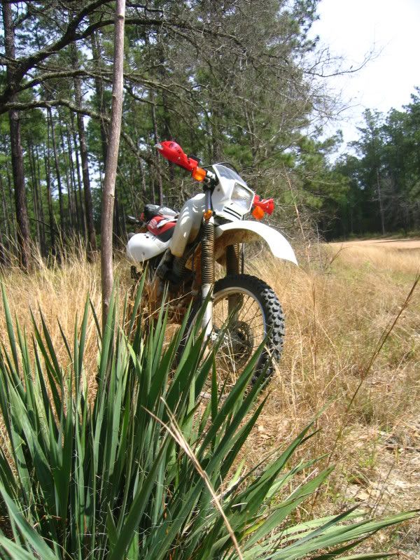 XR650L068.jpg
