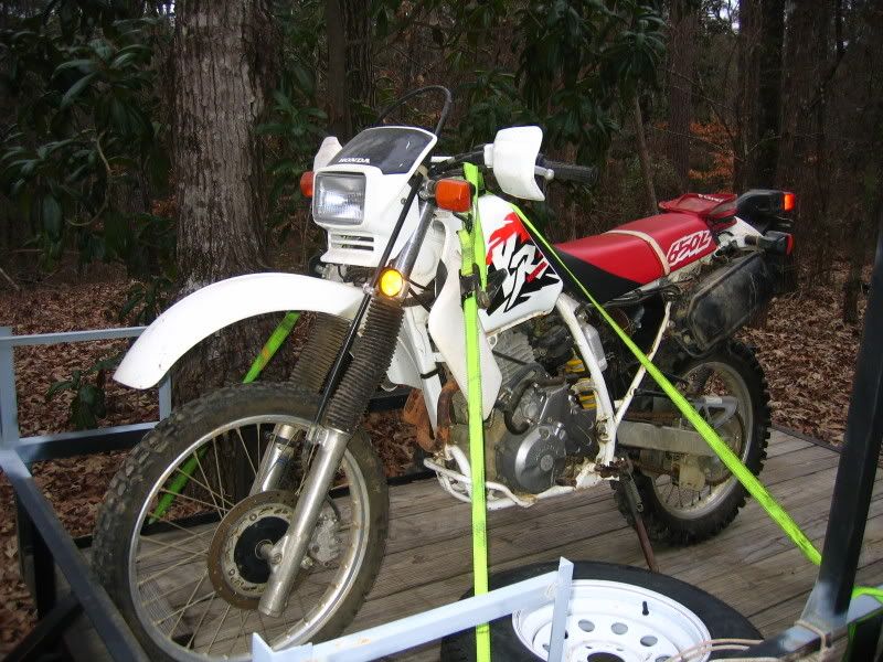 XR650L003.jpg