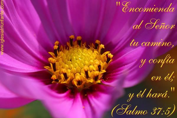 Encomienda.jpg picture by zulimar_205