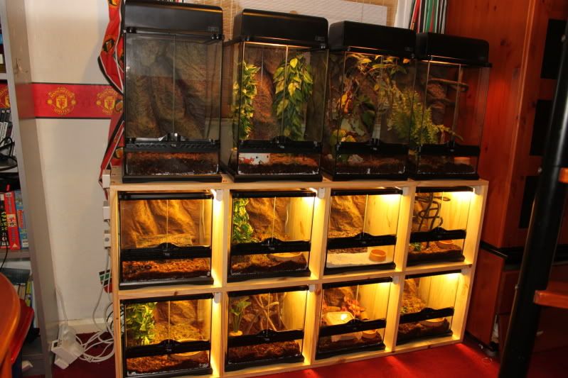 Exo terra habitats Page 3 Reptile Forums