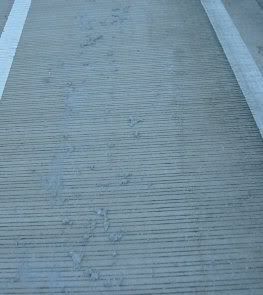 Blobs of concrete in the bike lane on Blair Stone overpass