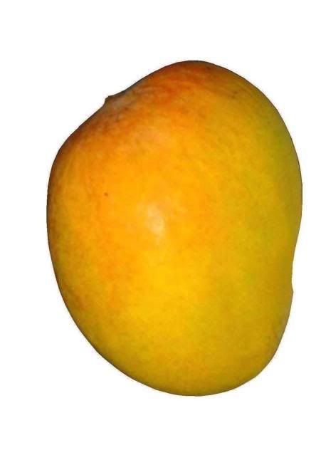 mango.jpg