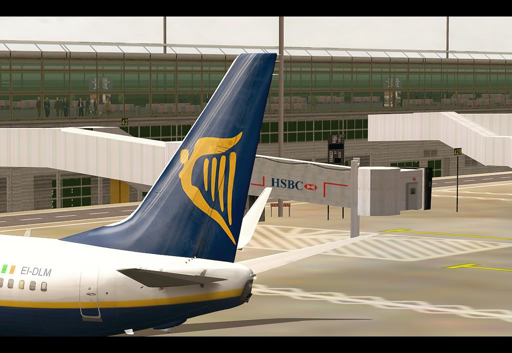 Ryanair4.jpg