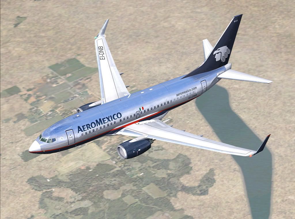 AeroMexico3.jpg