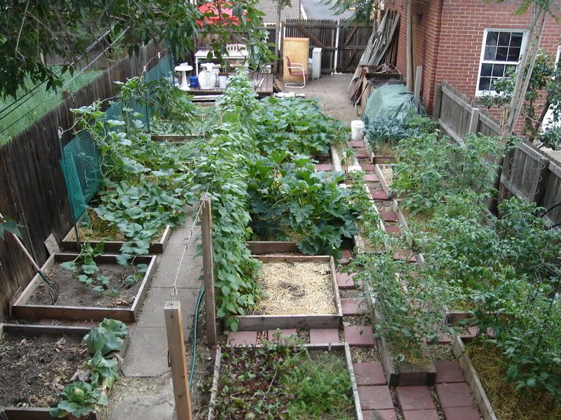 City/Suburban folks, are you out there? - Homesteading Questions