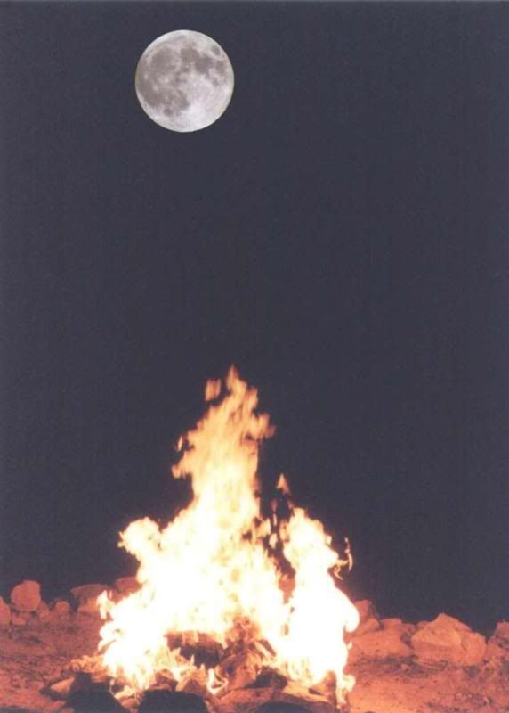 Bonfire Pictures, Images and Photos