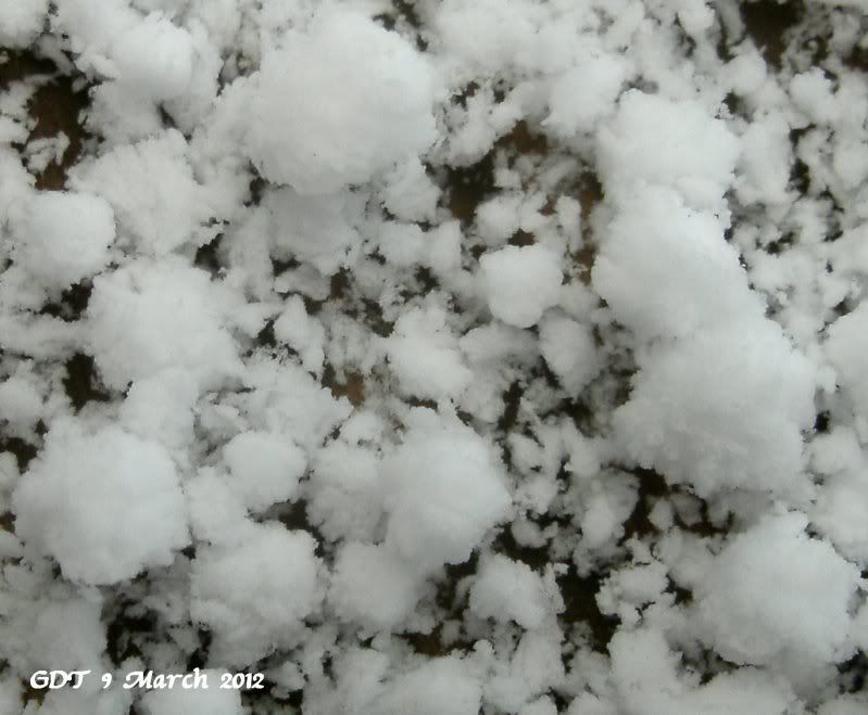 Closeup view of graupel