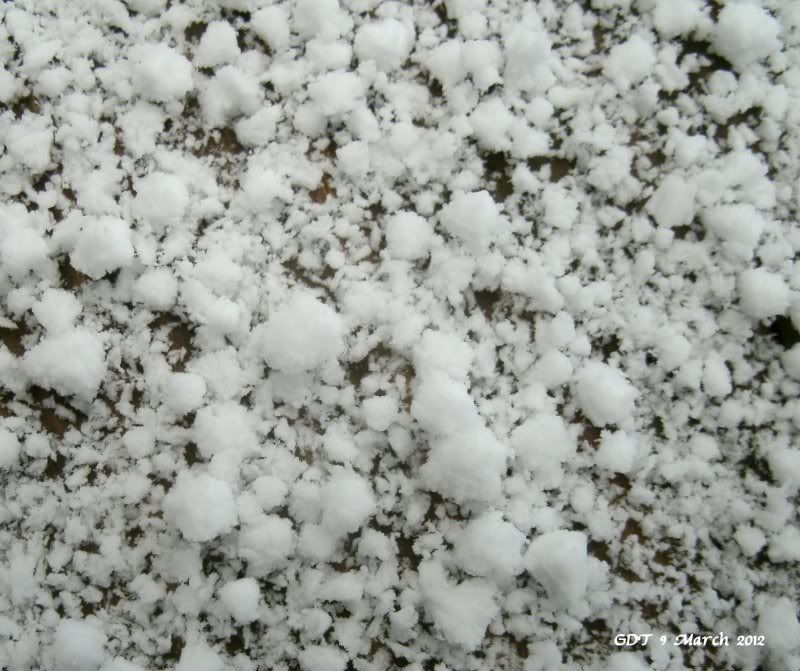 Graupel, snow pellets, or soft hail