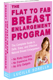 Flat to Fab Breast Enlargement Program Book Cover