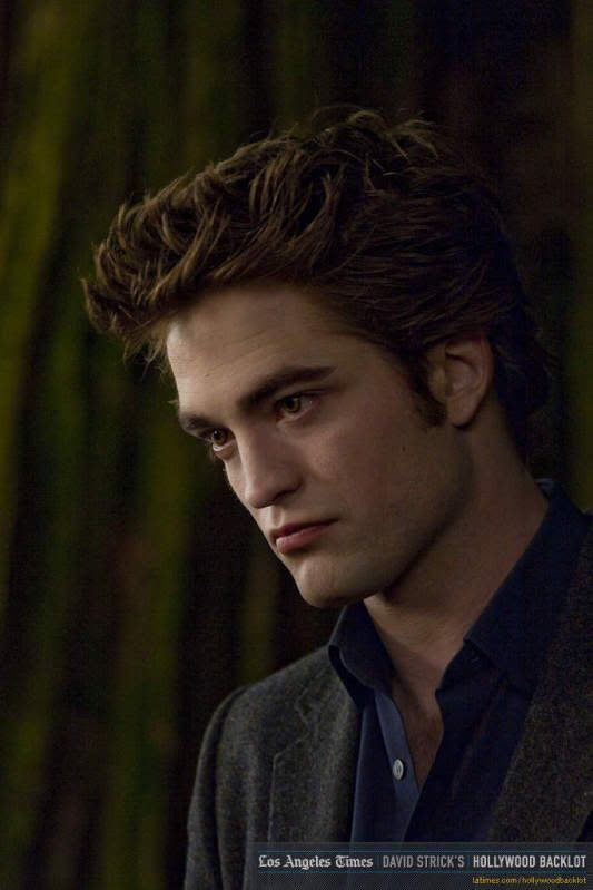 Twilight Saga:New Moon,New Moon,Robert Pattinson,edward cullen