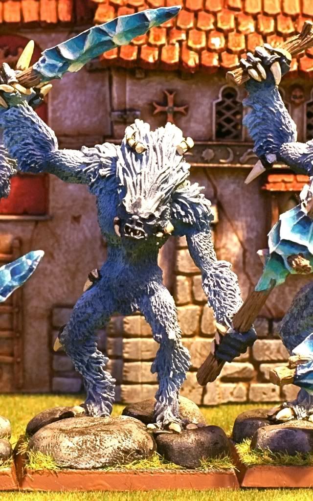 yeti3.jpg