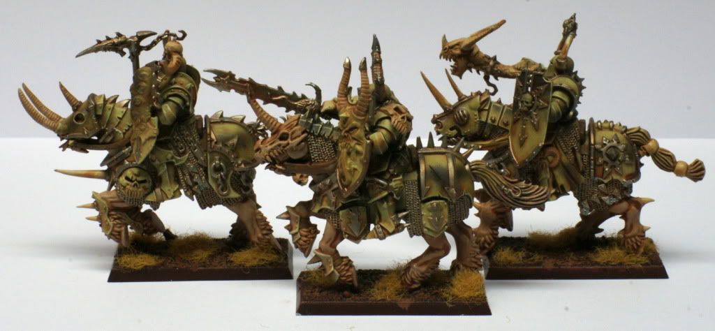 zasoa-knights-3.jpg