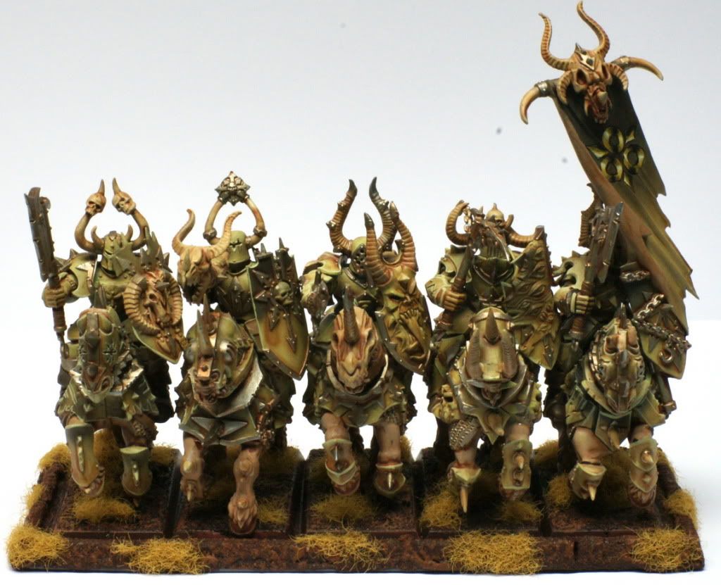 zasoa-knights.jpg