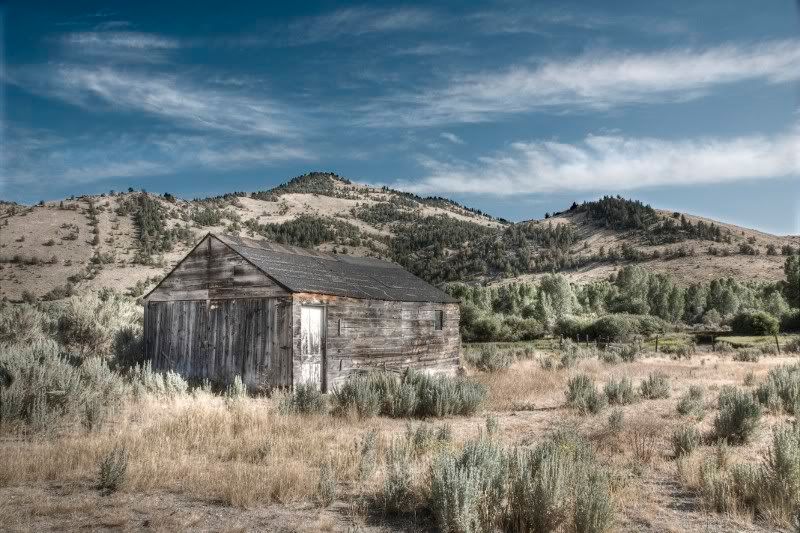 [Image: bannack02800x533.jpg]
