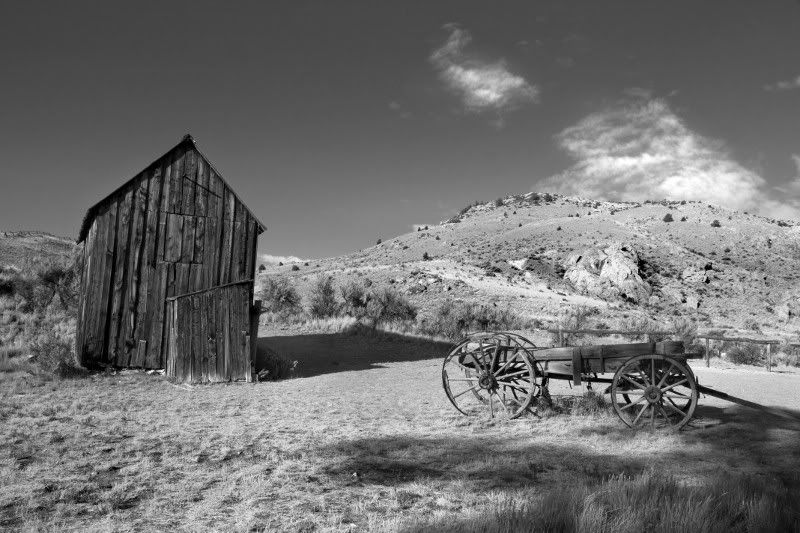 [Image: shedandcart800x533.jpg]