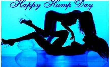 Happy Hump day Pictures, Images and Photos