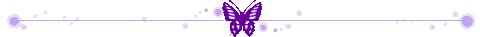 purple bfly divider