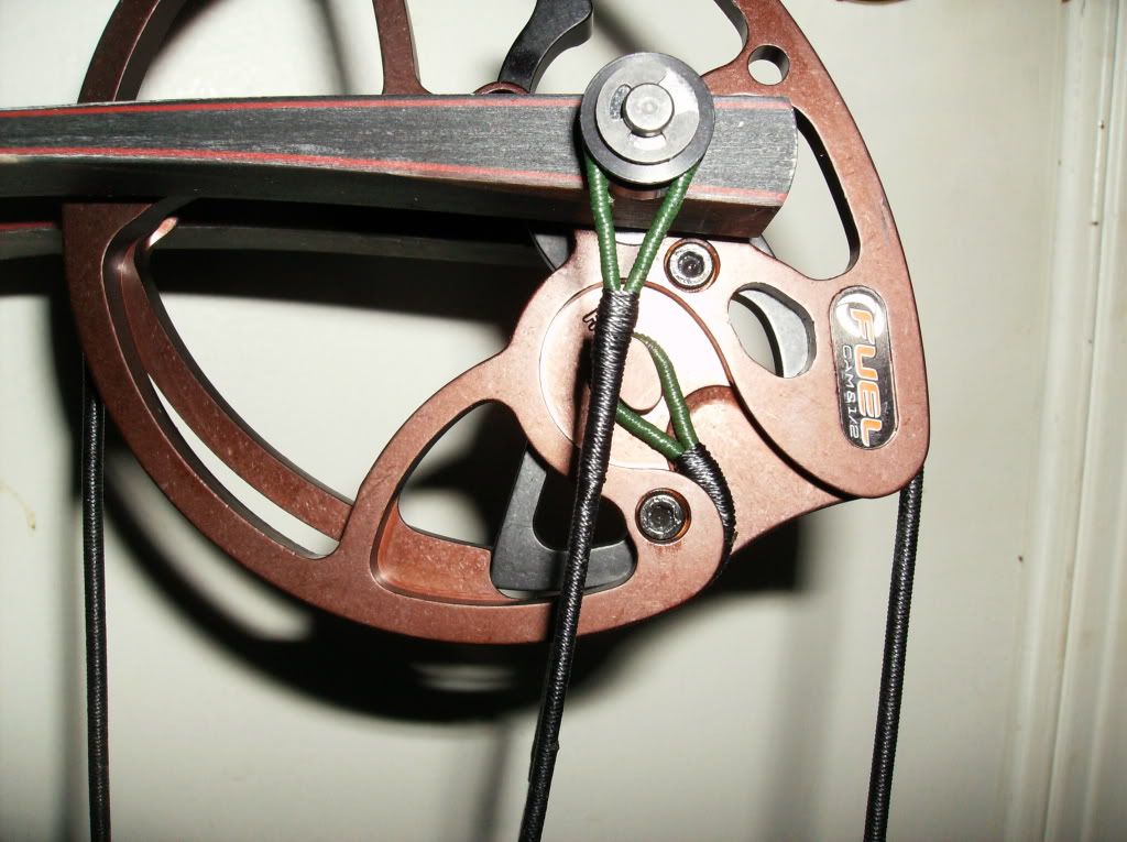 2011 Hoyt Rampage XT....(Pics) New Jersey Hunters