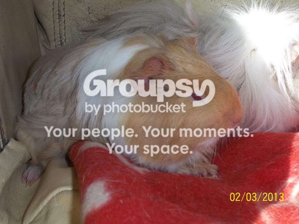100_4617_zps8d257f1d.jpg