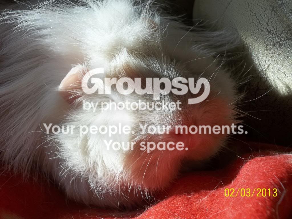 100_4621_zps3c98cddf.jpg