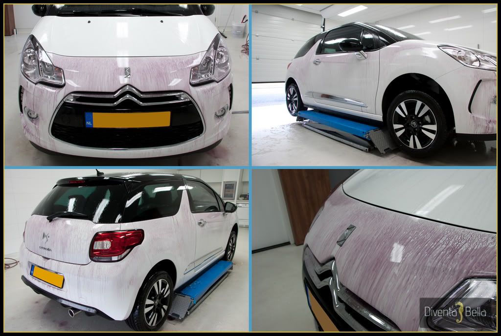 CitroenDS308.jpg