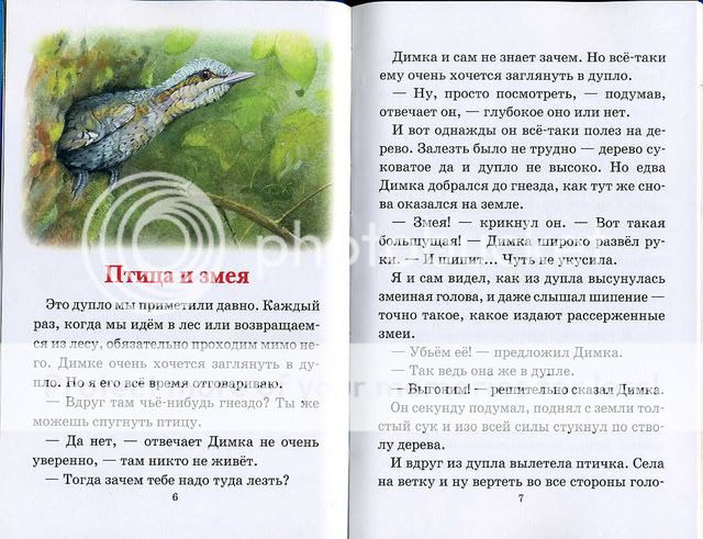 Дмитриев Юрий. Лесные загадки. Ил. Е. Подколзин. Стрекоза. 2007 ...