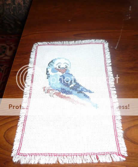 http://i112.photobucket.com/albums/n194/snowymask/Cross_stitch/parrot_blue.jpg