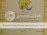 Winnie The Pooh 3D Decoupage Picture Wood Frame NEW  