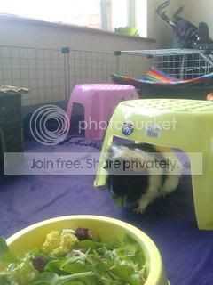 Picture001.jpg