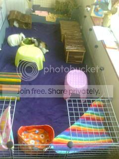 Picture002-1.jpg