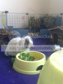 Picture003.jpg