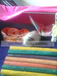 Picture013.jpg