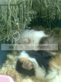 Picture016.jpg