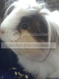Picture019.jpg