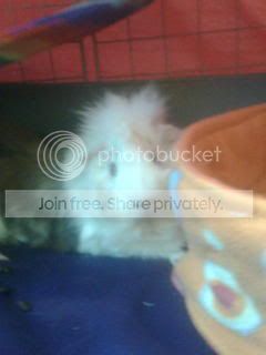 Picture024.jpg